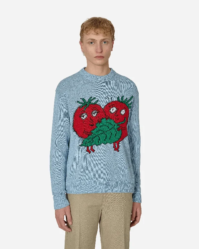 Comfortable Men's Cotton SweatersRecycled Cotton Intarsia Knit Sweater Blue